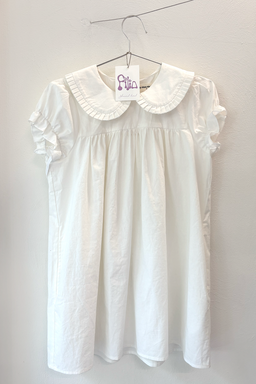 MY MOM MADE IT DRESS