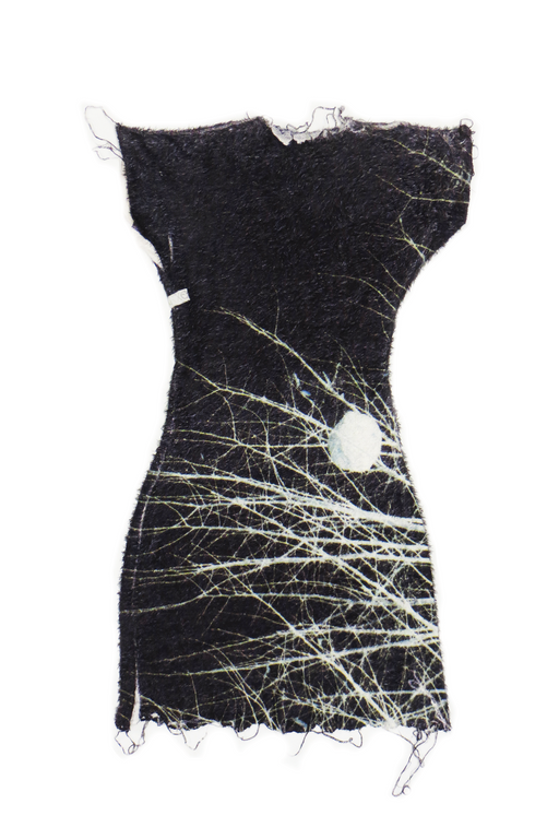 Dark Twigs Dress